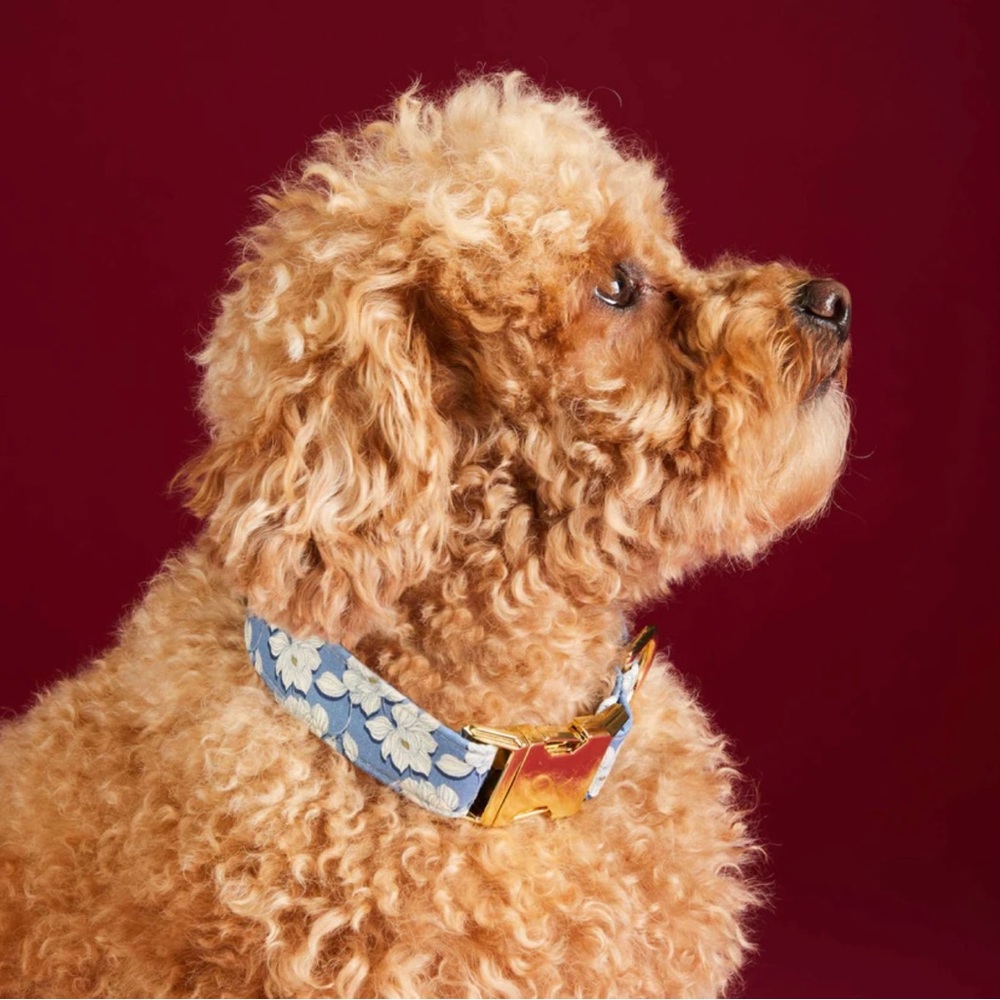 THE FOGGY DOG - DRAPER JAMES X TFD MAGNOLIA SHADOWS Collar (New - never used)